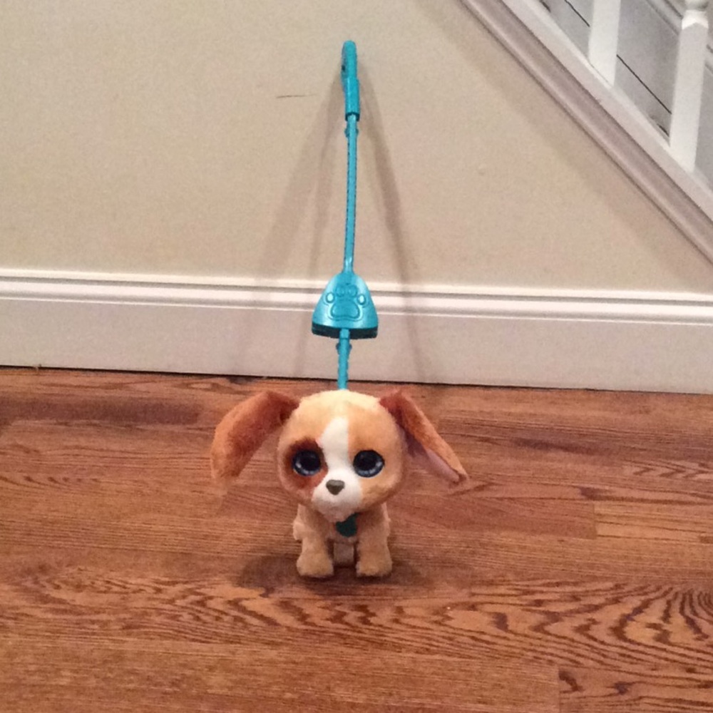 A toy dog